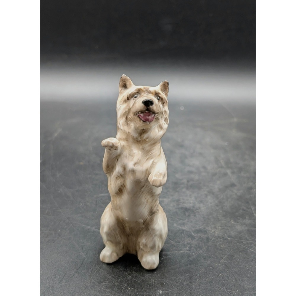 Royal Doulton Cairn Terrier Begging Dog‎ Figurine HN2589 England Bone China 3"